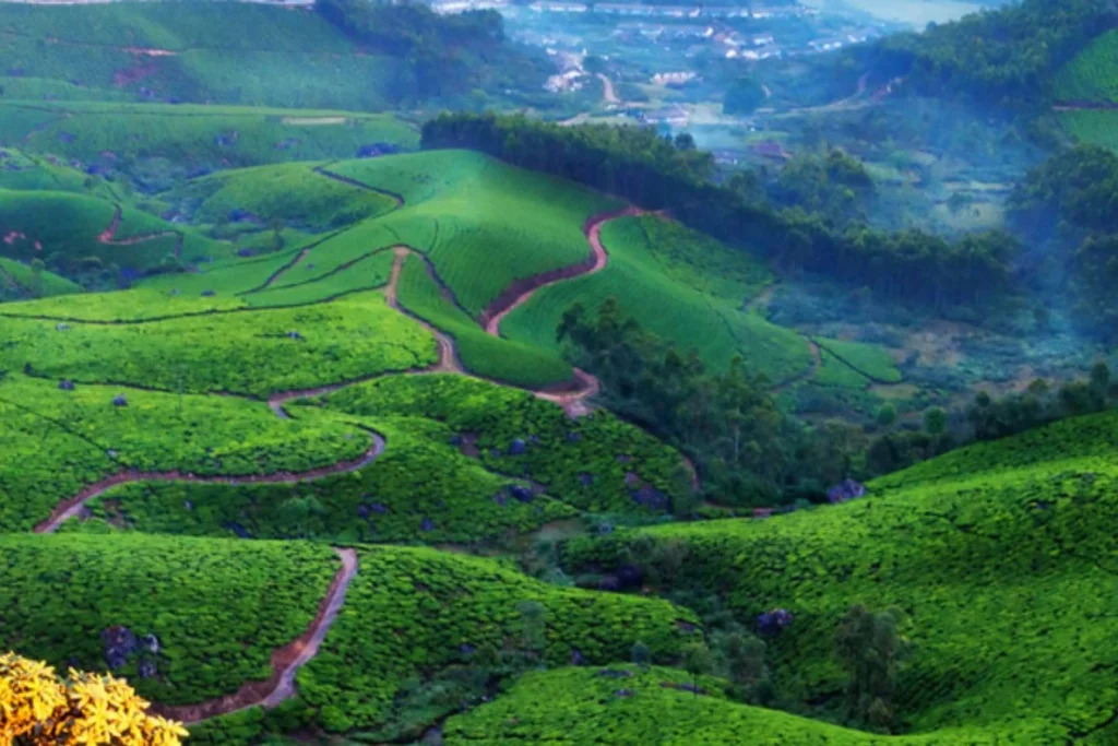 attractions in munnar