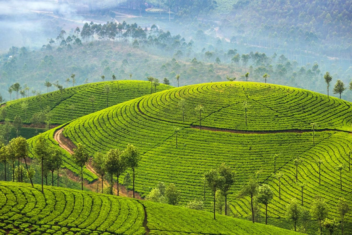 Best Tourist Destinations in Kerala – Explore God’s Own Country