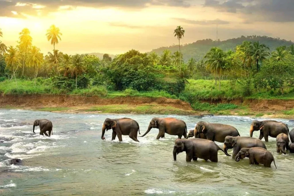 wildlife sanctuaries