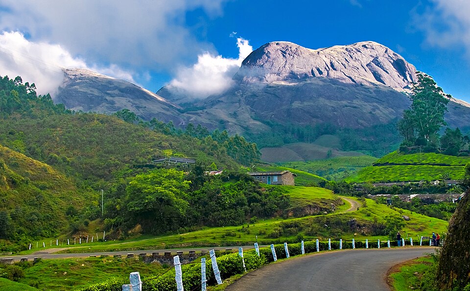 Best Time to Visit Munnar & Things to do in Munnar