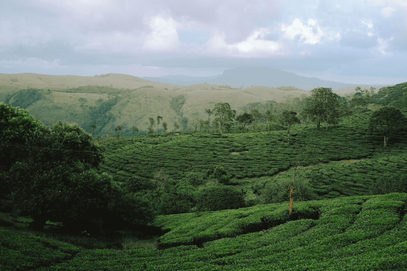 Best tourist places in North Kerala