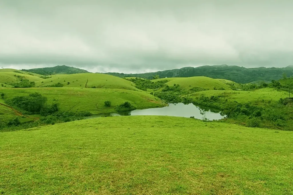 Unique Places to Visit in Kerala