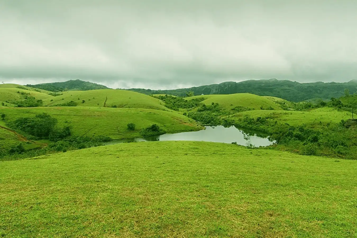 Unique Places to Visit in Kerala