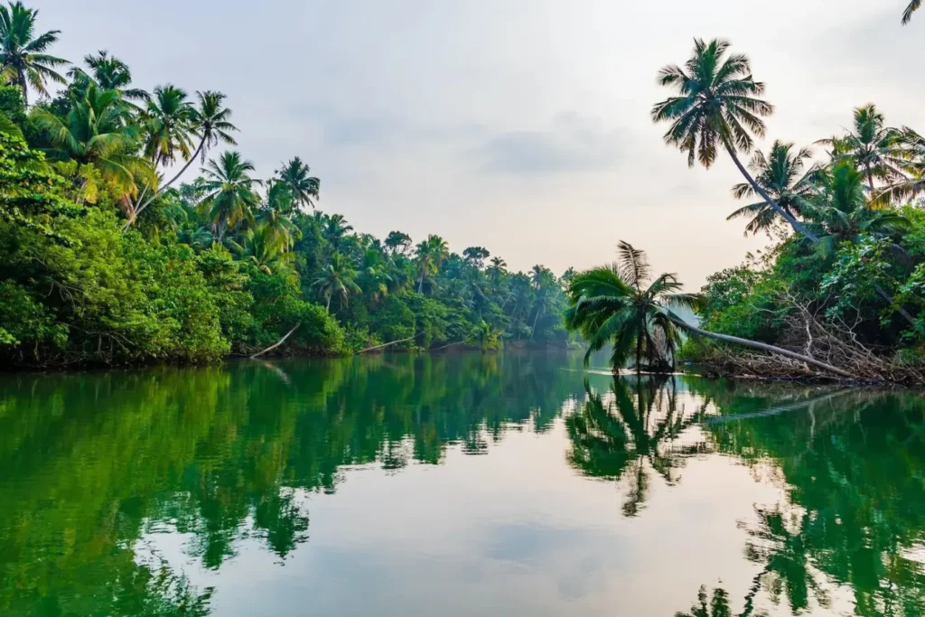 kerala backwater:Kerala Travel Guide 
