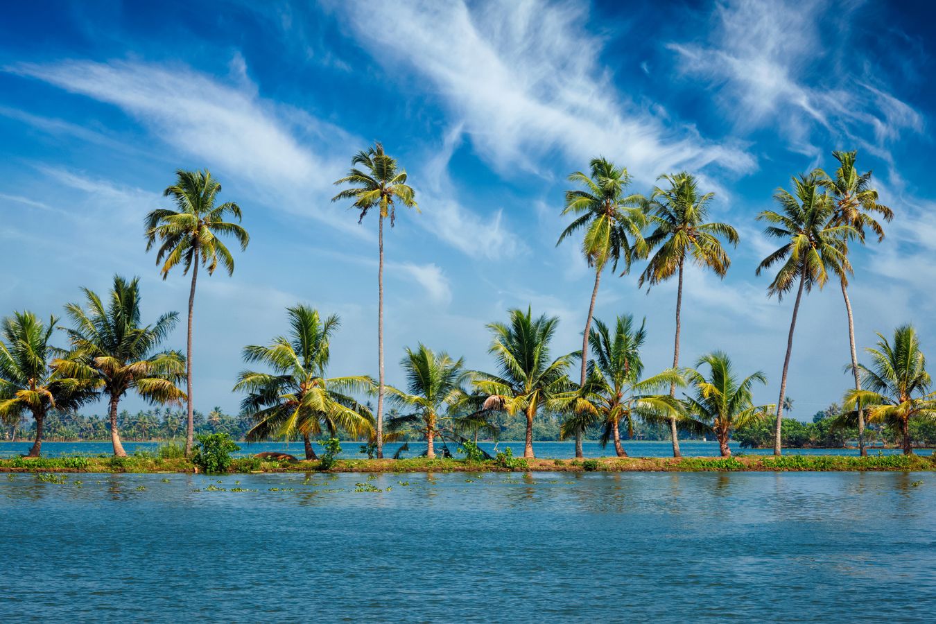 Kerala Travel Guide 2026: Places & Packages