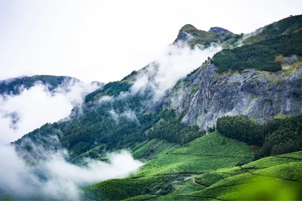 kerala hill stations:Kerala Travel Guide 