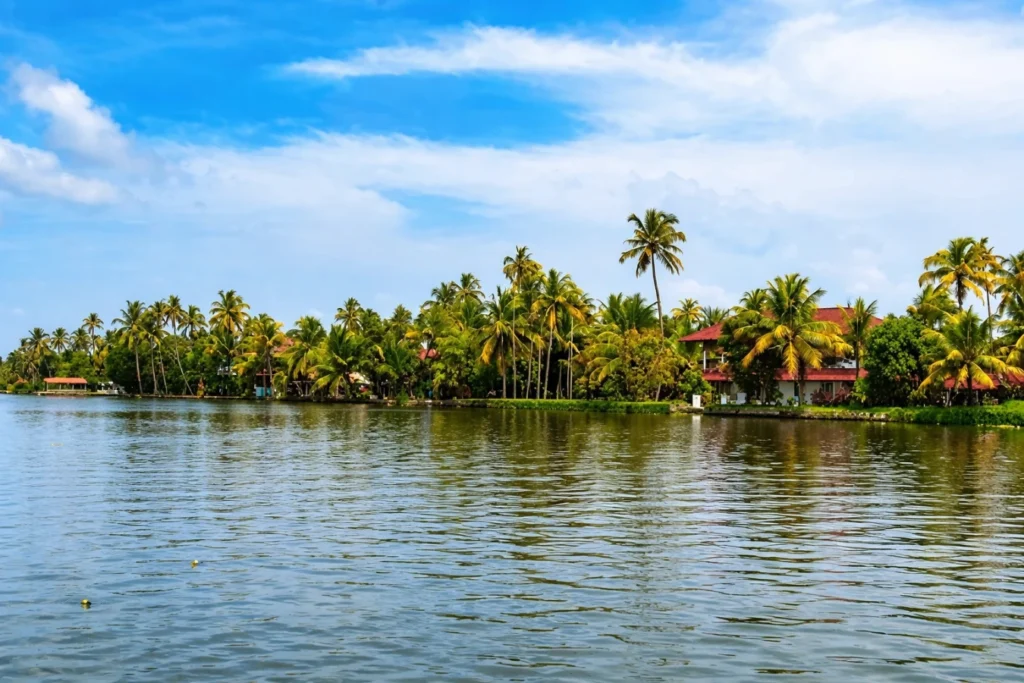 alleppy kerala backwater