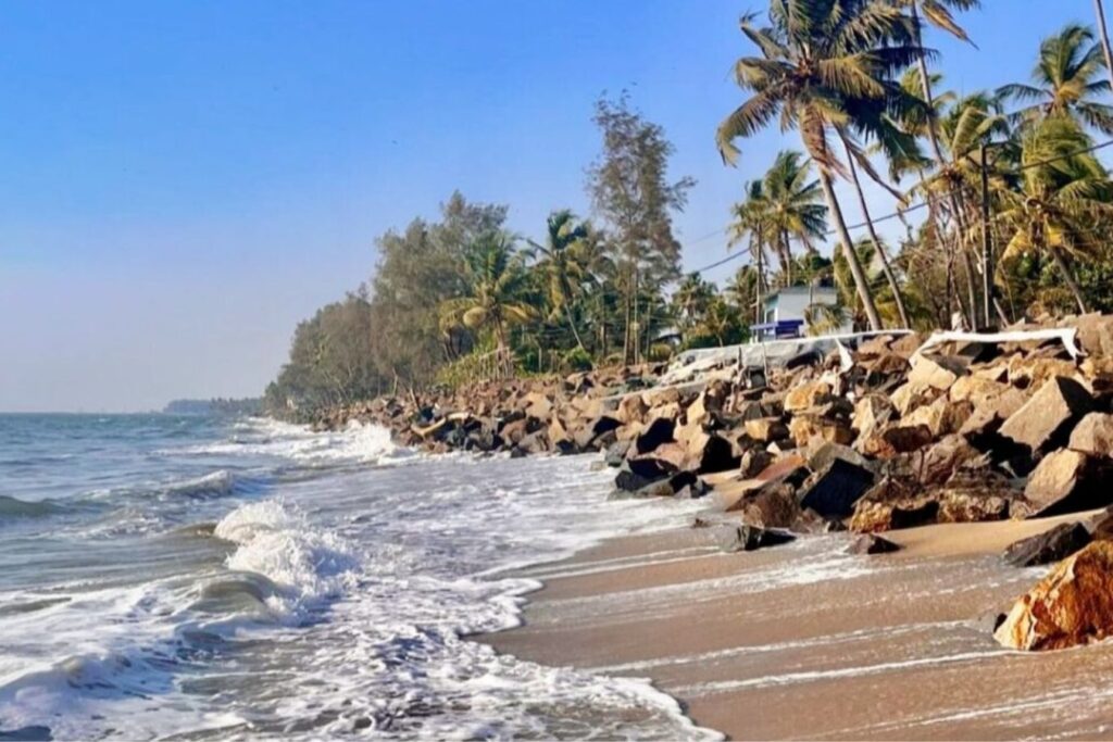 beach of kerala: cherai