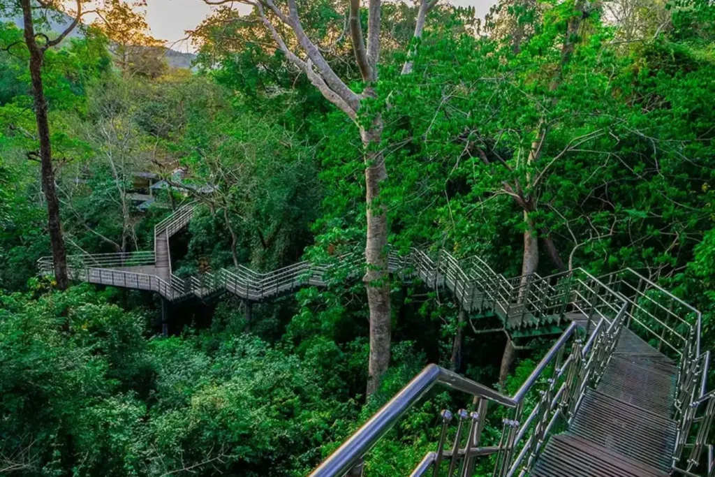 thenmala- eco tourism