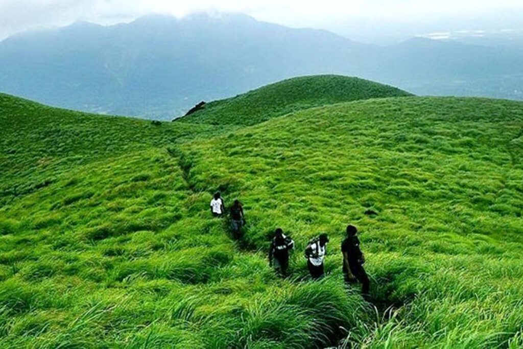 best trekking spots in kerala kerala holidays tour