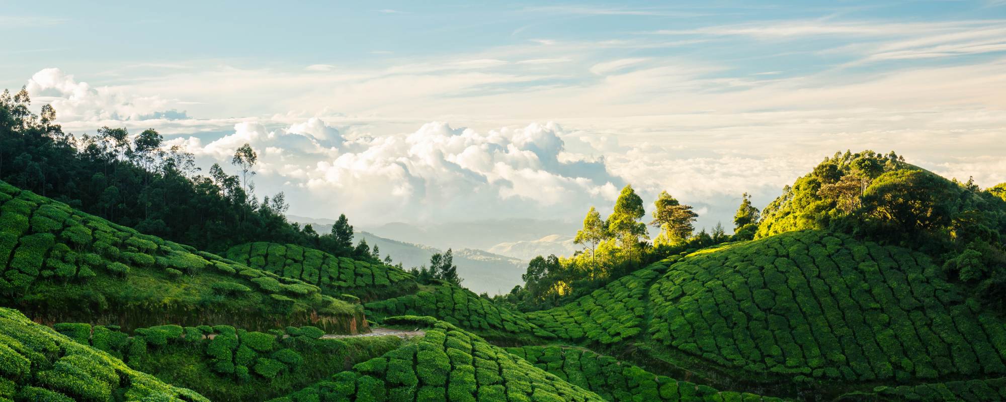 top 5 hill stations in kerala