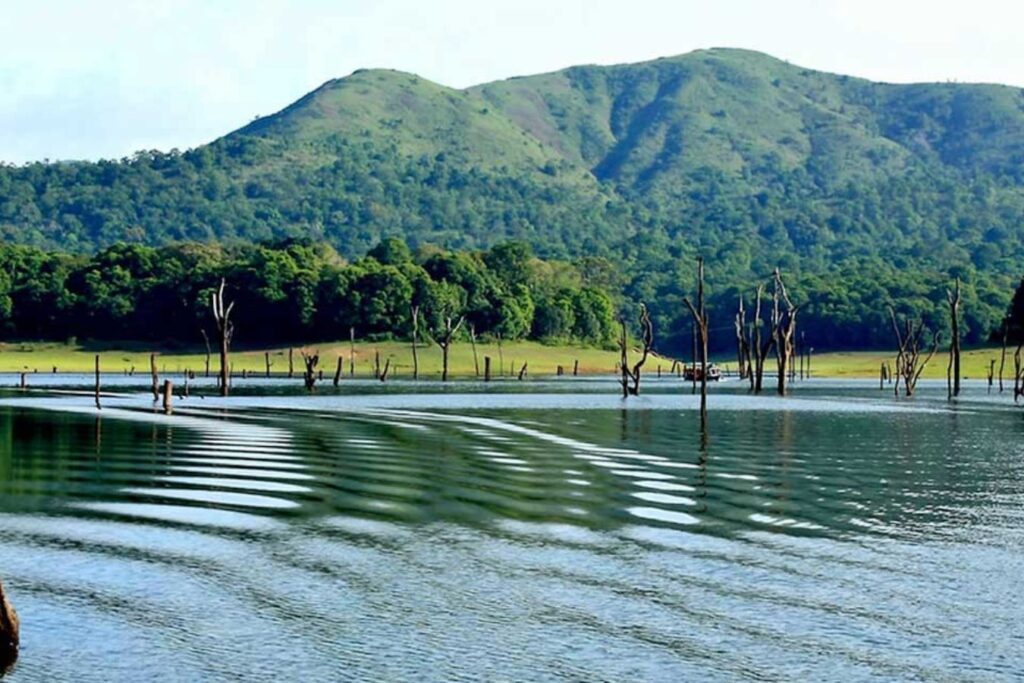 thekkady-top 5 hill stations in kerala