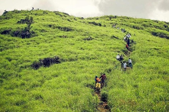 wayanad-trekking-Best trekking spots in Kerala