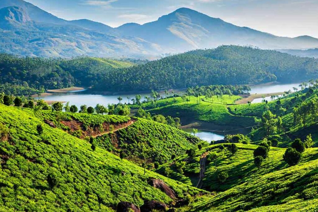 munnar-Best 10 Places to Visit in Kerala in Summer