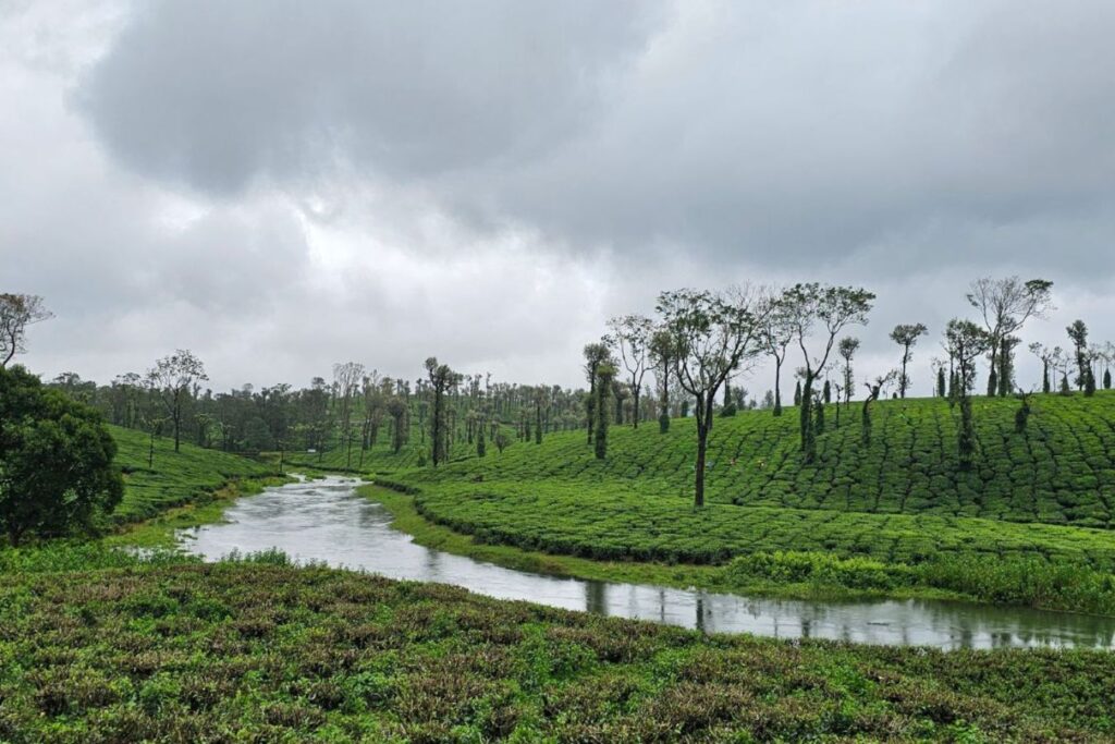 nilliyampathy-Best 10 Places to Visit in Kerala in Summer