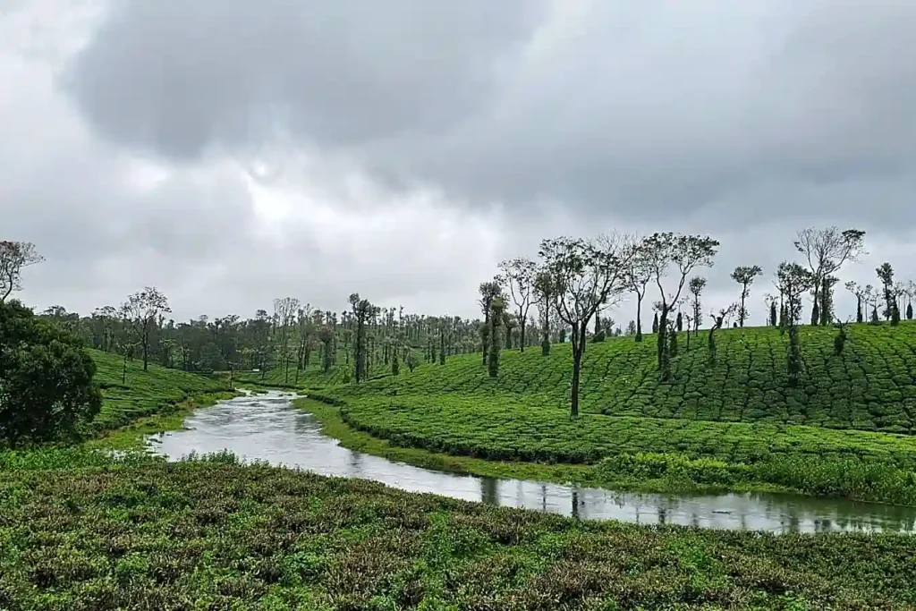 Best 10 Places to Visit in Kerala nelliyampathy