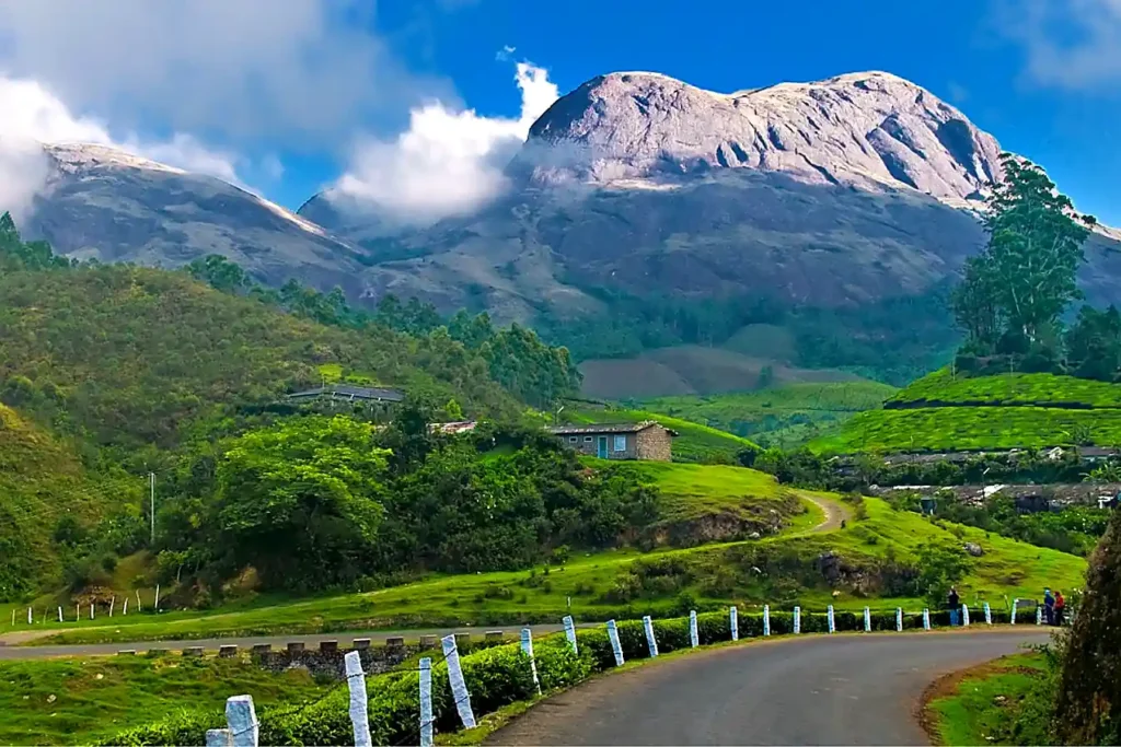 Best Places to Visit in South India-munnar
