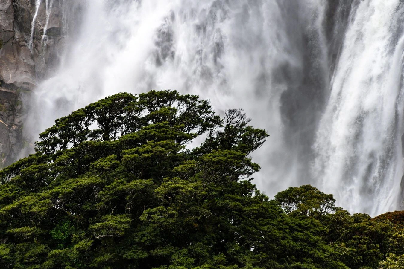 famous waterfalls in kerala