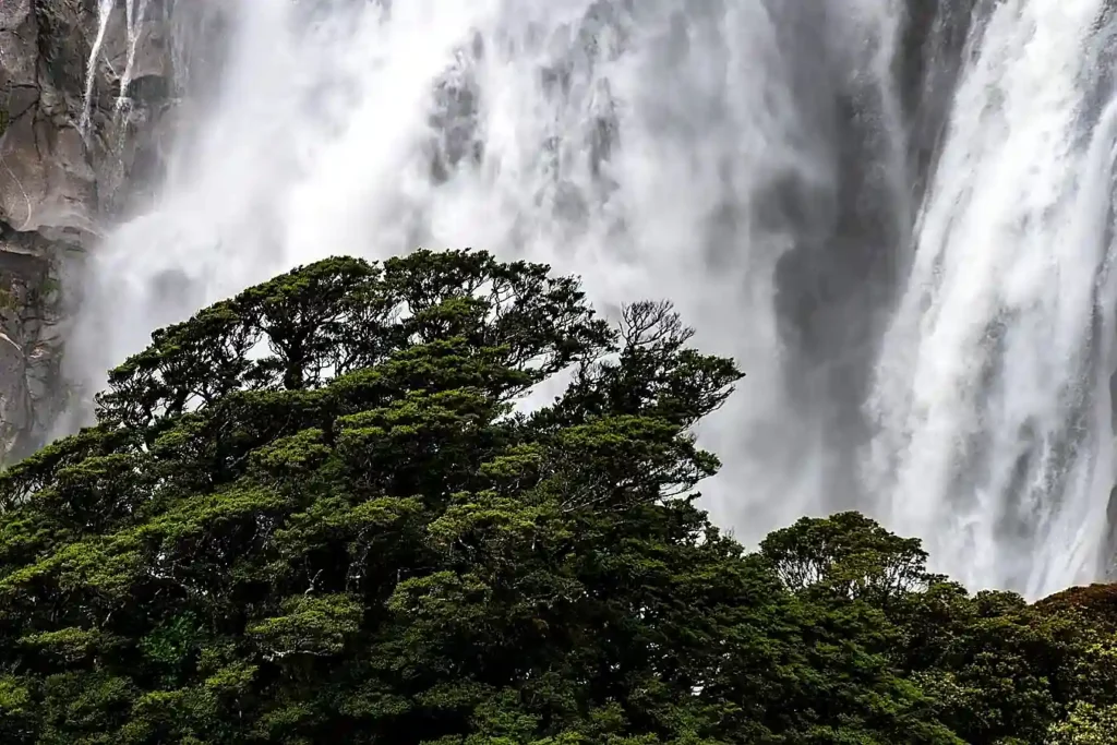 waterfalls in kerala