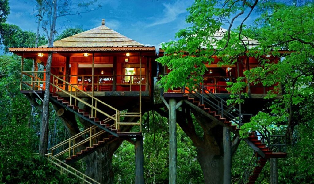 Unravel Cardamom Hills, Thekkady- 6 Offbeat stays in Kerala