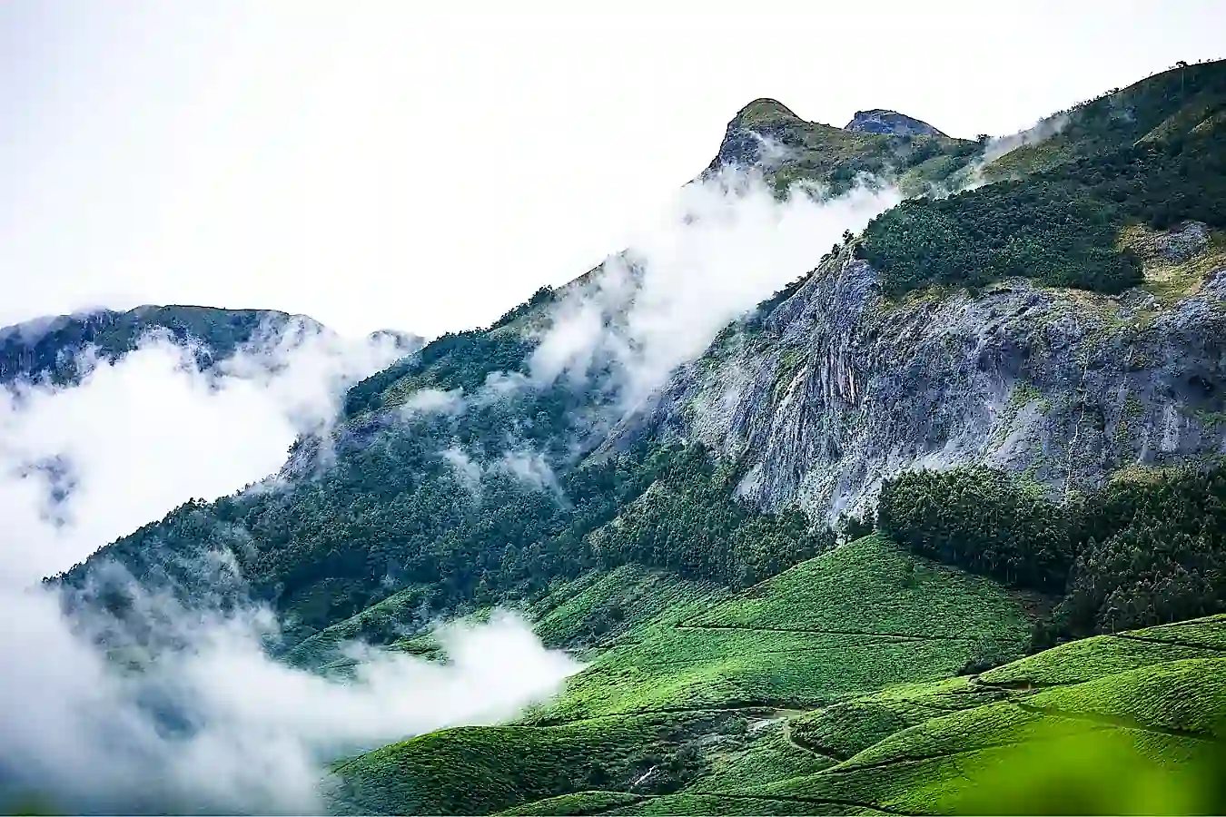 kerala tours and travels