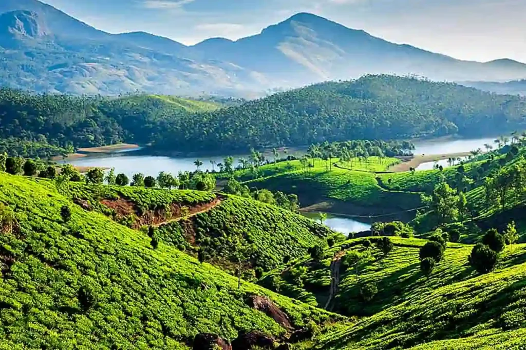 Kerala Tours and Travels-munnar
